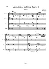 String Quartet No.1 Mvt.1